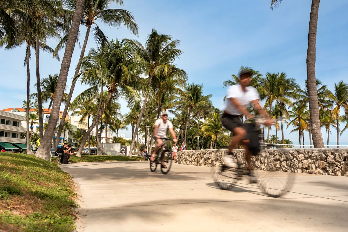 Ciclistas recorriendo un sendero bordeado de palmeras en Miami Beach