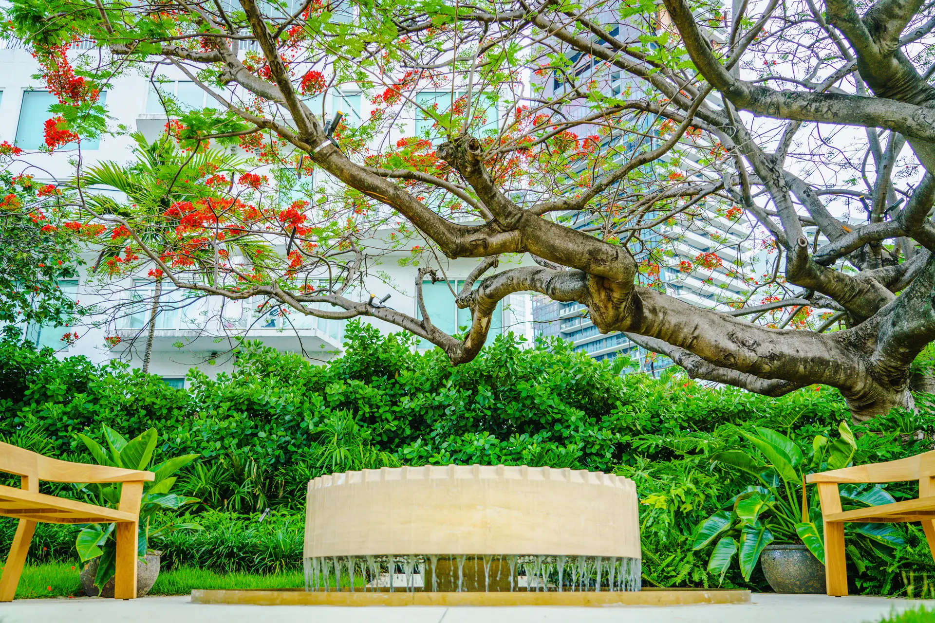 1428 Brickell — Consultar