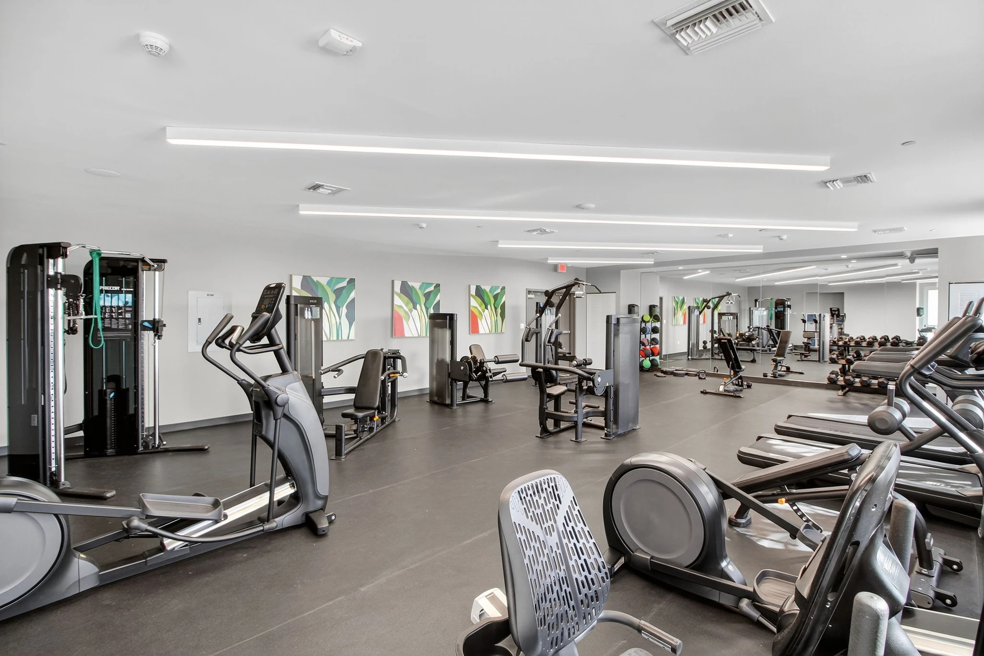 Centralis Residences — gimnasio del edificio con máquinas de cardio, de fuerza y pesas libres