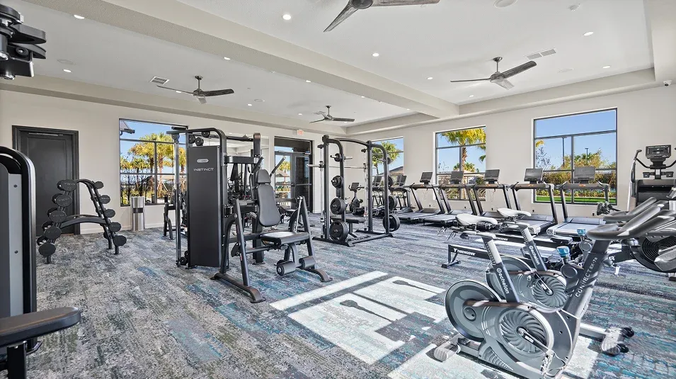 Wellness Ridge — gimnasio equipado con cardio y pesas, con ventanales al jardín
