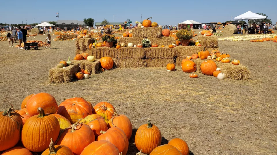 PumpkinFest 2024